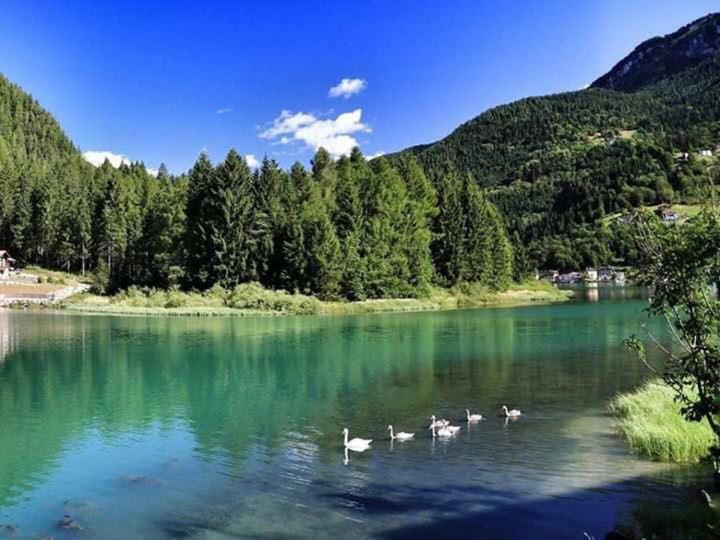 Appartamento Italia Alleghe Dış mekan fotoğraf